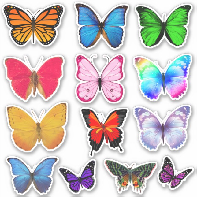 Multi-Colored Butterfly Stickers  (Front)