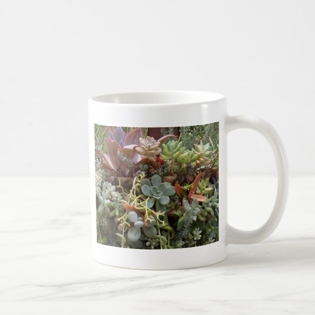 Multi-colored-Cacti Coffee Mug (Right)