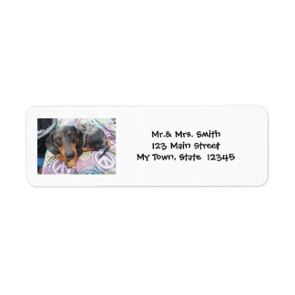 Multi Colored Dachshund Dog Dapple Return Label