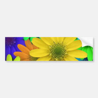 Multi Colored Daisies Bumper Sticker