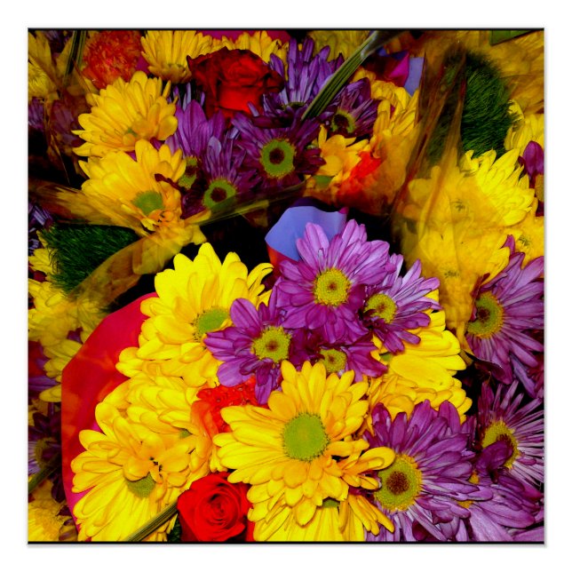 Multi Colored Daisy Flower Mix Poster (Front)