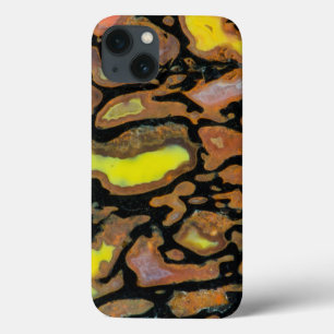 Multi Colored Dinosaur Bone iPhone 13 Case