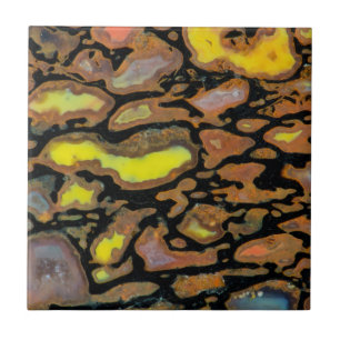 Multi Colored Dinosaur Bone Ceramic Tile