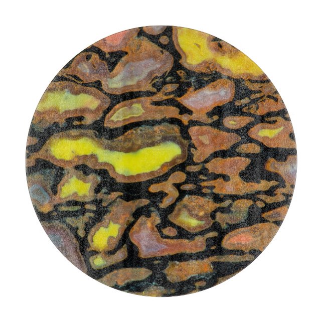 Multi Colored Dinosaur Bone Cutting Board (Front)