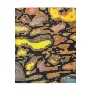 Multi Colored Dinosaur Bone Metal Print