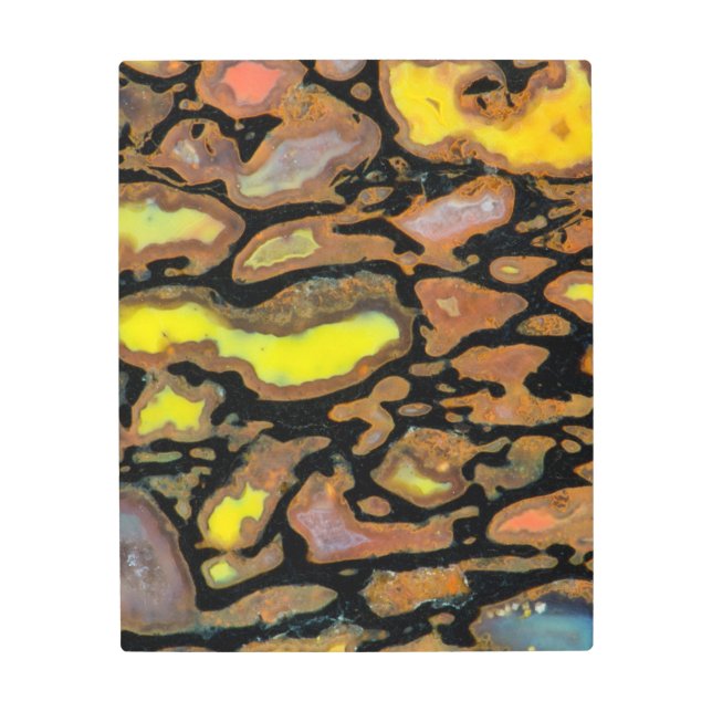 Multi Colored Dinosaur Bone Metal Print (Front)