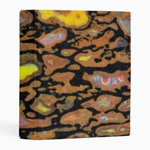 Multi Colored Dinosaur Bone Mini Binder