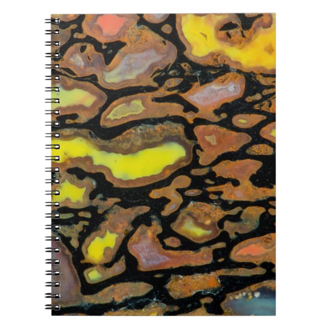 Multi Colored Dinosaur Bone Notebook (Front)