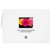 Multi colored gerber daisies cards (Back Horizontal)