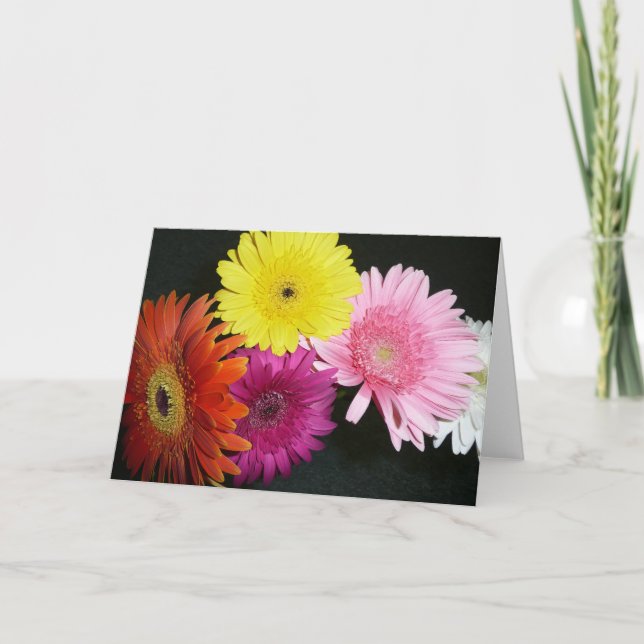 Multi colored gerbers card (Front)