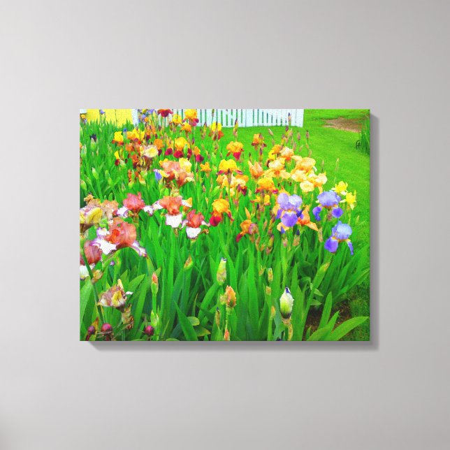 Multi Colored Iris Flower Patch Canvas Print (Front)