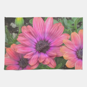 Multi Colored Kitchen Towel