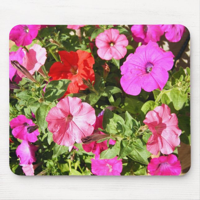 Multi-colored Petunias Mouse Pad (Front)