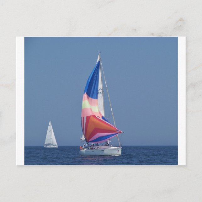 Multi Colored Spinnaker Postcard (Front)