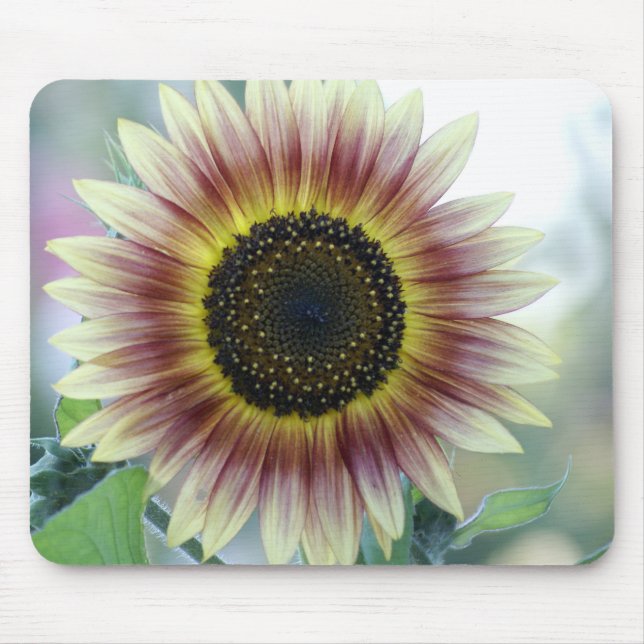 Multi-colored Sunflower Mouse Pad (Front)