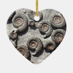 Multi fossil ammonites from the Lower Lias Ceramic Ornament