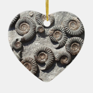 Multi fossil ammonites from the Lower Lias Ceramic Ornament