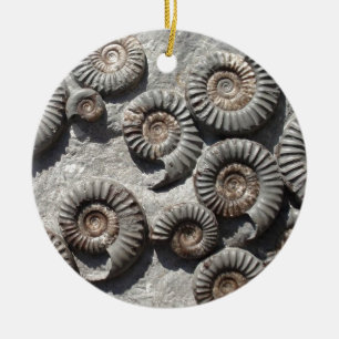 Multi fossil ammonites from the Lower Lias Ceramic Ornament