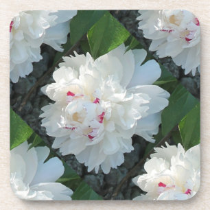 Multi Precious Peony Coasters Cork Back Set of 6