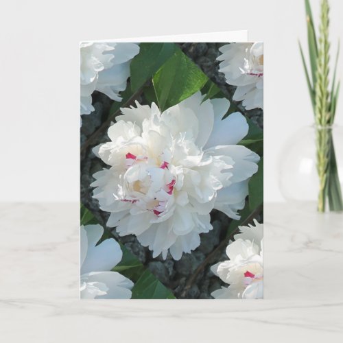 Multi Precious Peony Greeting andor Note Card