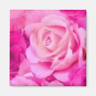 Multi Purpose Magnet