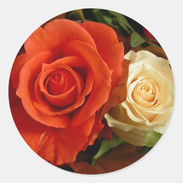 Multi-Rose Sticker (Front)