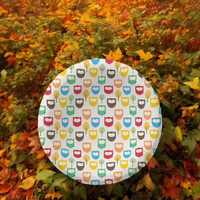 Multicolor Cartoon Owl Paper Plate Bowls (owl cartoon theme,birthday,wedding,baby shower,special occasion event paper plate party supplies)