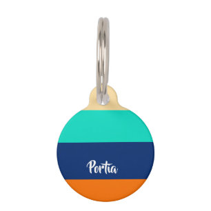 Multicolor lines patterned pet ID tag