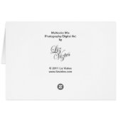 Multicolor Mix Blank Card (Back Horizontal)
