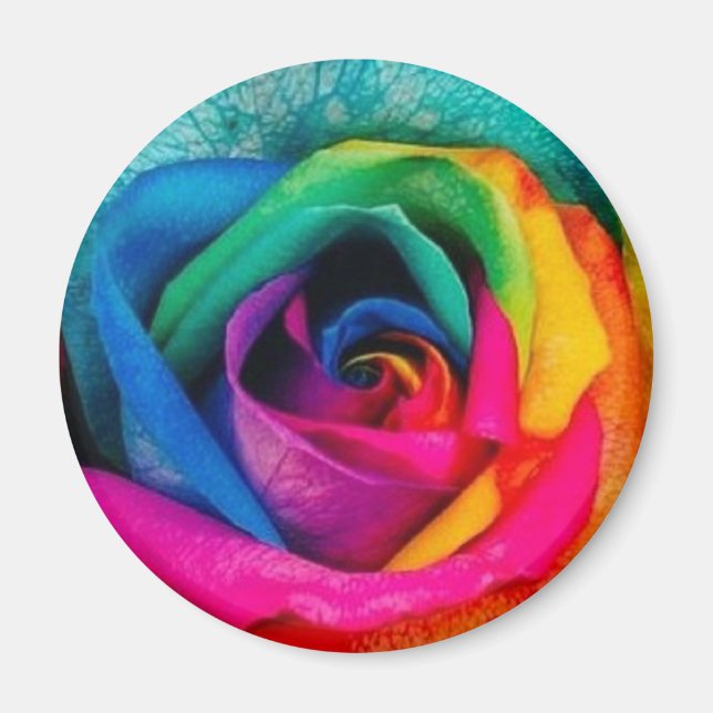 Multicolor rose magnet (Front)