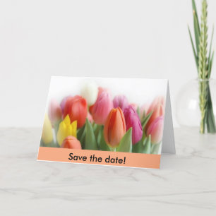 multicolor tulips  Save the date! Announcement