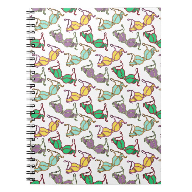 Multicolored Bra Pattern Notebook (Front)