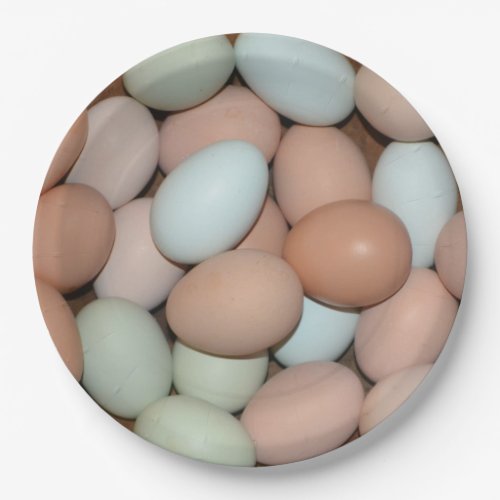Multicolored Chicken Eggs Paper Plate