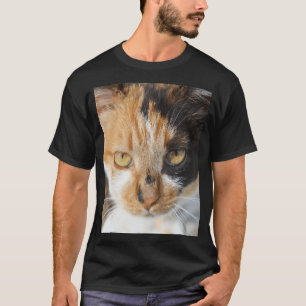 Multicolored Colorful Calico Cat Photograph Portra T-Shirt