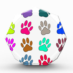 Multicolored Dog Paw Print Pattern Acrylic Award