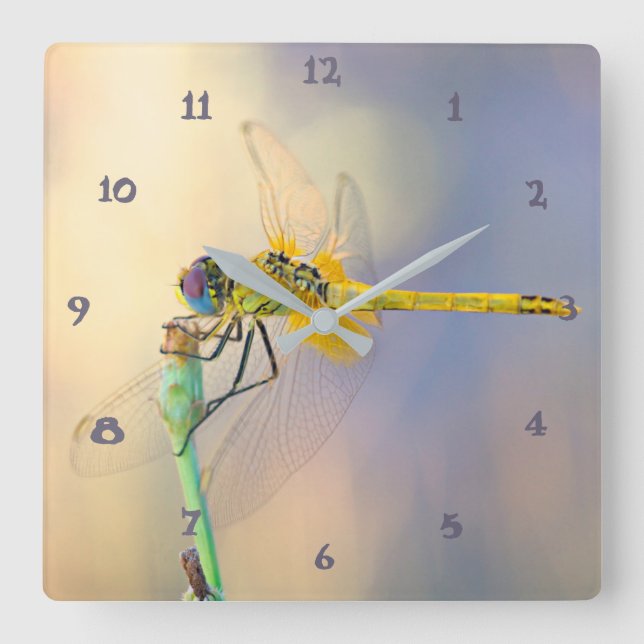 Multicolored Dragonfly Square Wall Clock (Front)