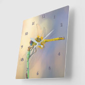 Multicolored Dragonfly Square Wall Clock (Angle)