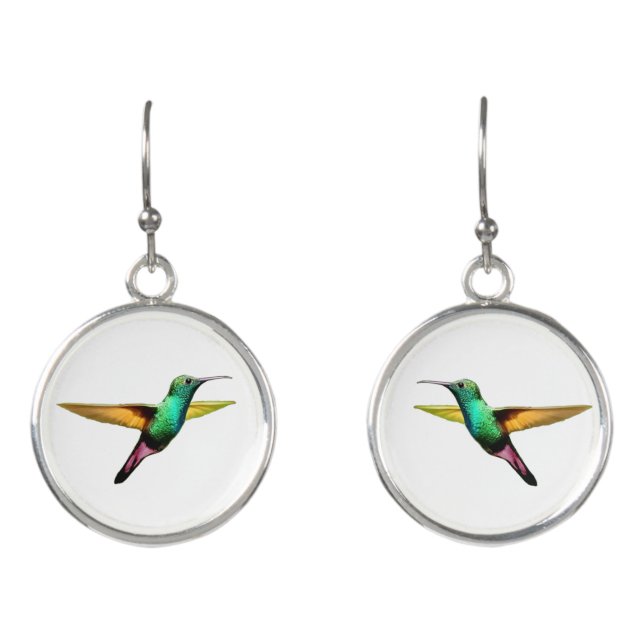 Multicolored hummingbird earrings (Front)