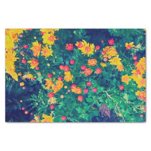 Multicolored meadow whimsical wild daisy flowers tissue paper
