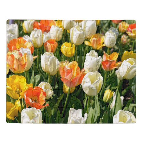 Multicolored tulips in garden jigsaw puzzle