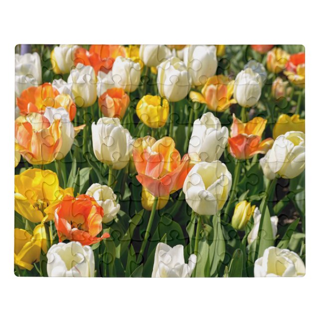 Multicolored tulips in garden jigsaw puzzle (Puzzle Horizontal)