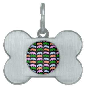 Multicoloured Hogs Pink Blue Green Orange Pet Ta Name Tag