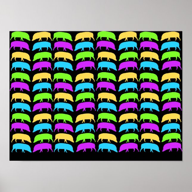 Multicoloured Hogs Poster (Front)