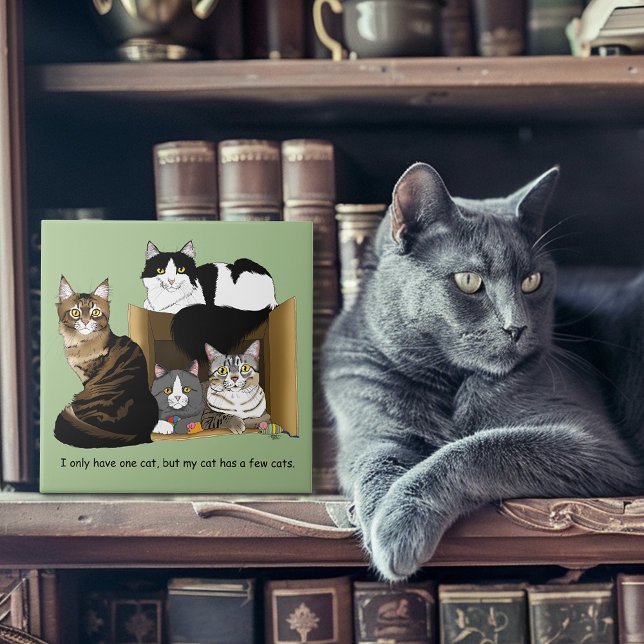 Multiple Cat Households Green Funny Ceramic Tile (Creator Uploaded)