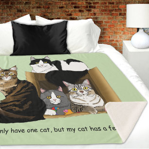 Multiple Cat Households Green Funny Sherpa Blanket