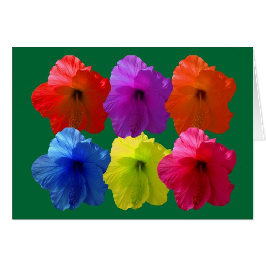 Multiple Colored Hibiscus Flowers Cards (Front Horizontal)