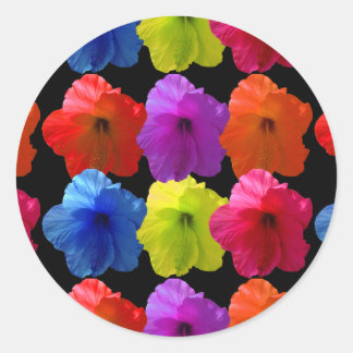 Multiple Colored Hibiscus Flowers Classic Round Sticker