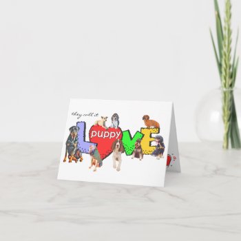 Multiple Dog Breeds Puppy Love Card by malibuitalian at Zazzle