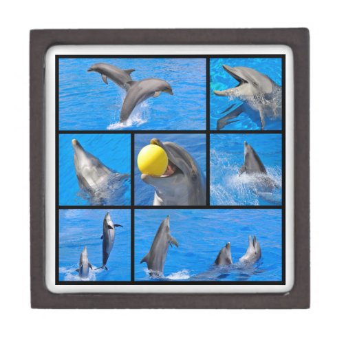 Multiple photos of dolphins jewelry box