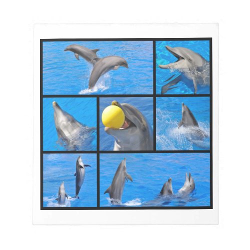 Multiple photos of dolphins notepad